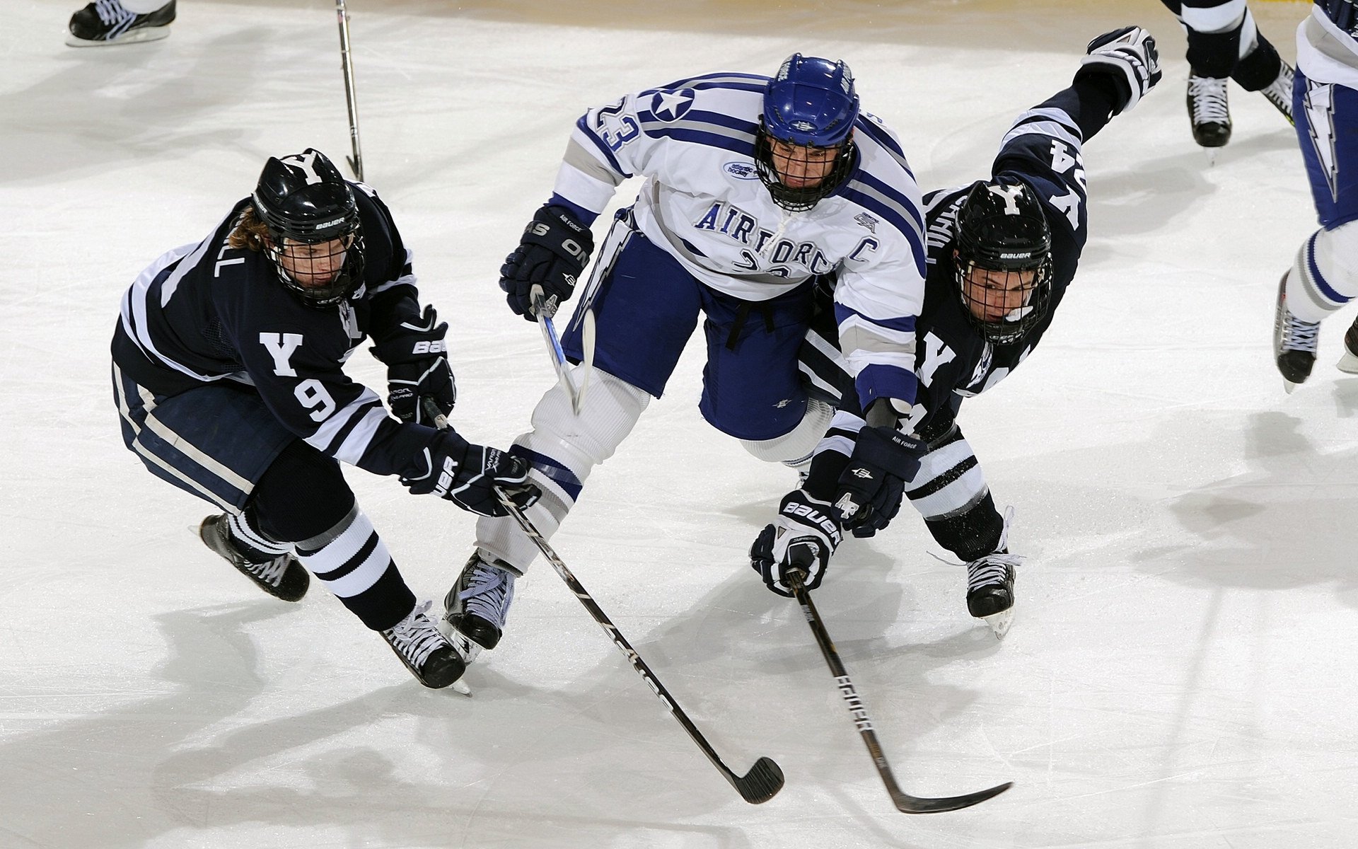 九游体育平台app官网-_城市高架自行车赛：穿越天际线的速度之战_，天际线建造了自行车道有用吗