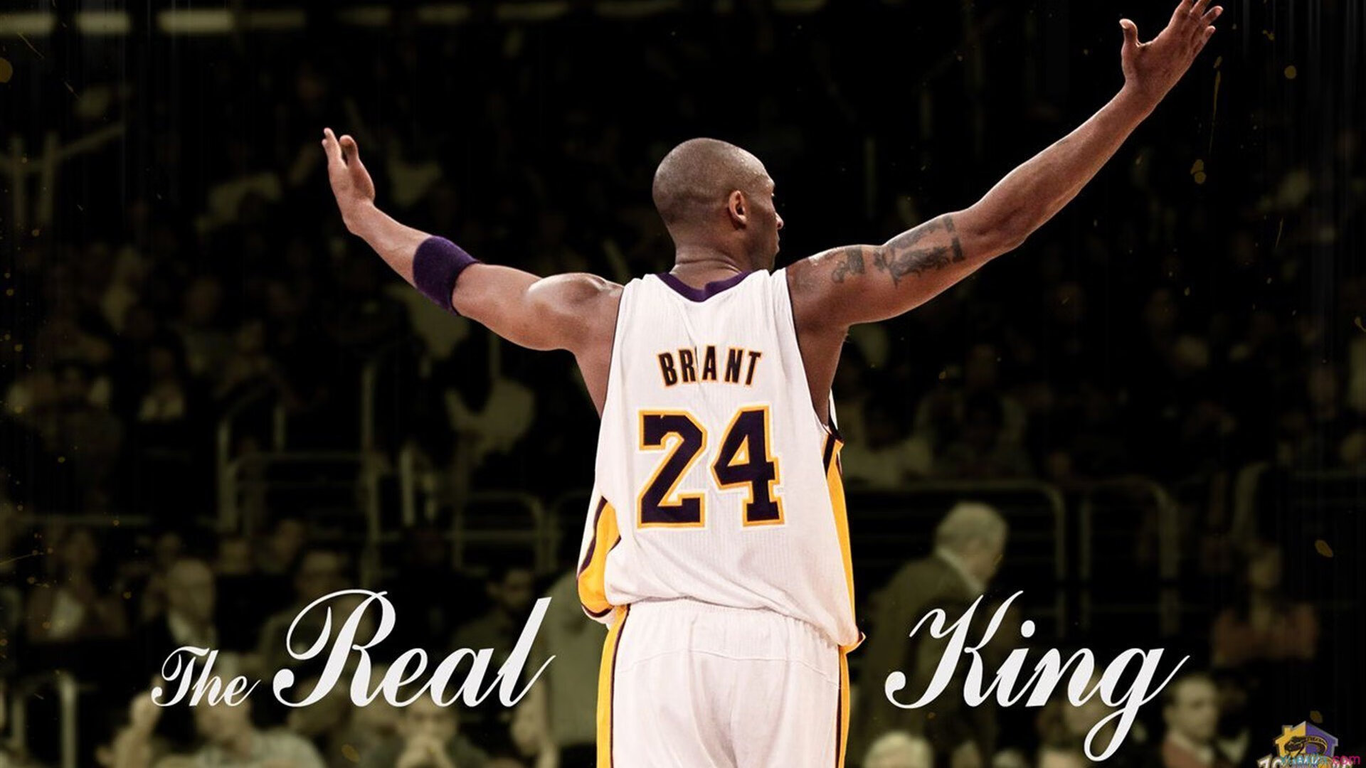 九游娱乐app下载-《王者荣耀冠军争夺，黑马强势崛起引发轰动》，王者荣耀游戏冠军