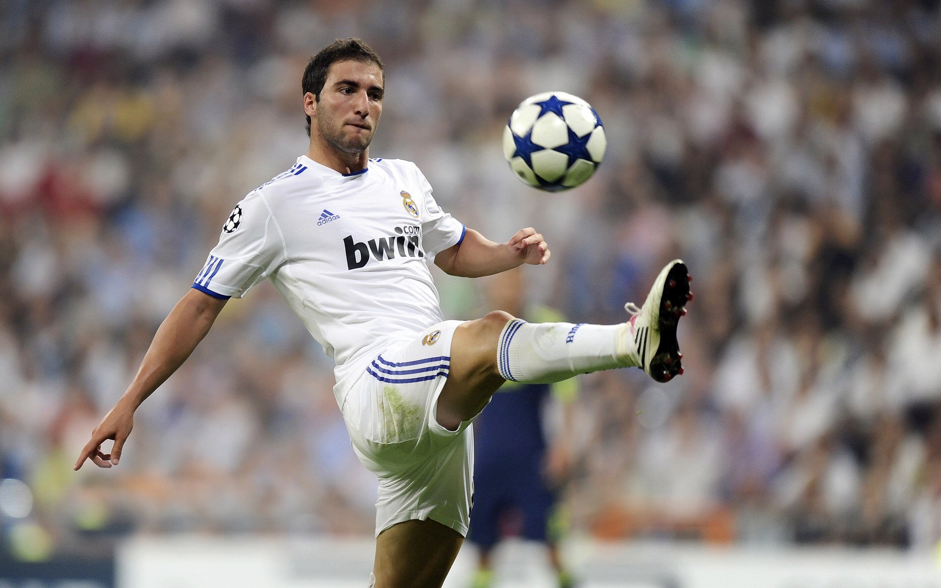 九游app官网下载-上海海港主场气氛火热，上海海港足球主场